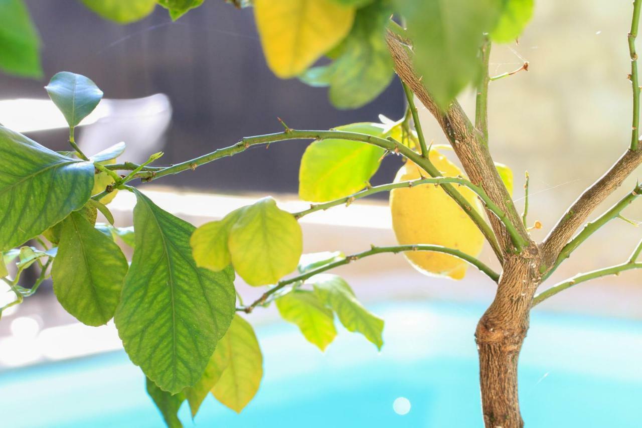 L'Hotel Particulier Guilhon Lectoure Zewnętrze zdjęcie